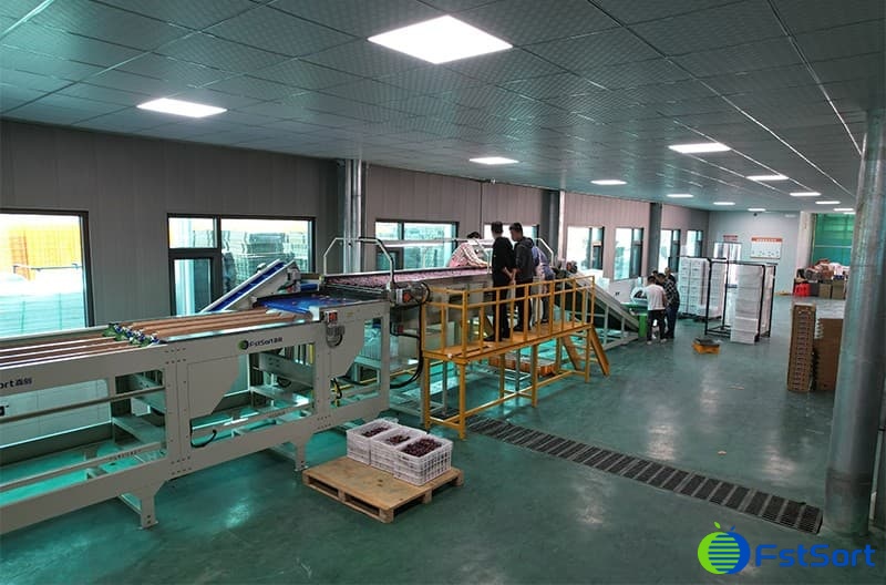 images/1665390379307fruit processing line.jpg